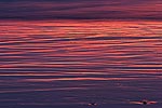 Reflections in wet sand at sunset, Olympic National Park, WA.