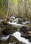 Taylor River in the Cascade Mountains near North Bend, Washington.